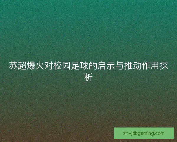 苏超爆火对校园足球的启示与推动作用探析